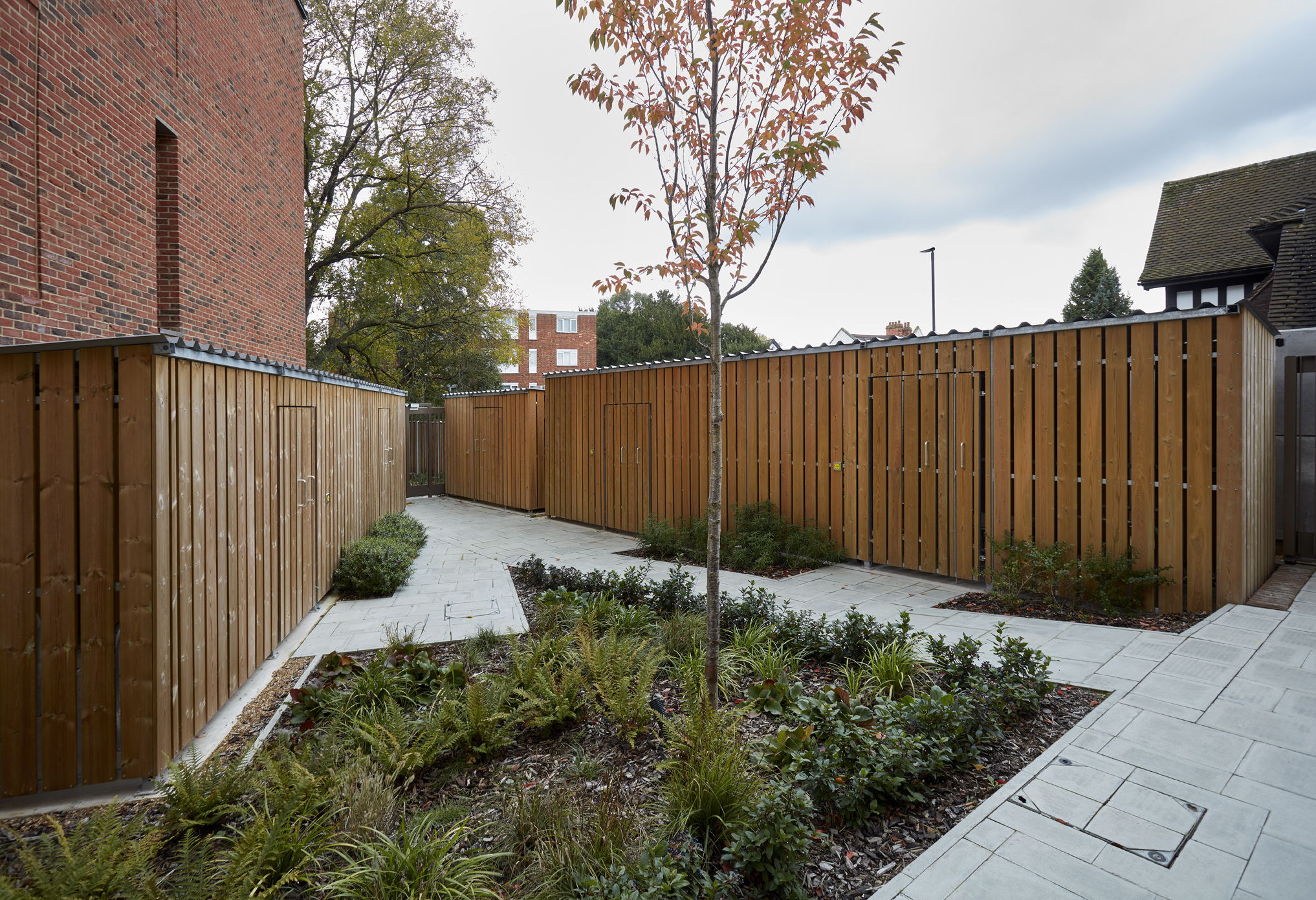 Recent Case Studies - Bellsure